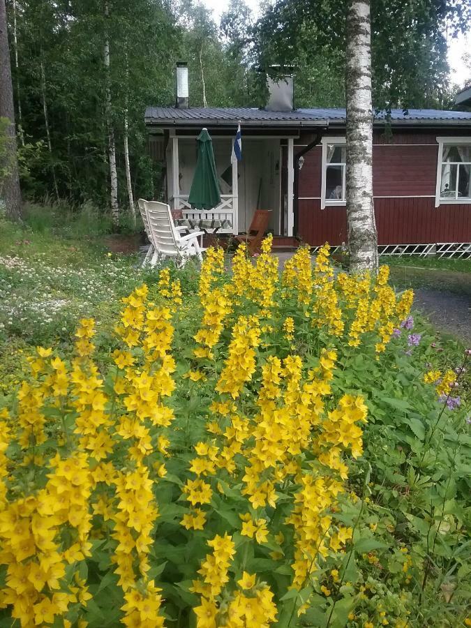 Ilmastoitu Kesaemoekki Askolassa Laehellae Porvoota Eksteriør billede